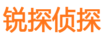 苏家屯市私家侦探